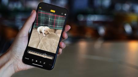 Una nueva herramienta de Google permite transferir Live Photos de iOS a Android
