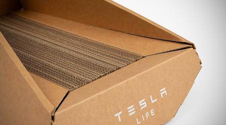 Inesperado: Tesla ha lanzado una cama para gatos al estilo de la camioneta eléctrica Cybertruck
