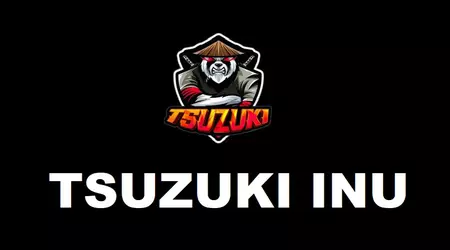 Los creadores de la criptomoneda Tsuzuki Inu ganaron más de $ 1,000,000 y desaparecieron