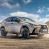 Lexus NX Overtrail decoración en negro