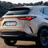 Lexus NX Overtrail con cuero sintético negro