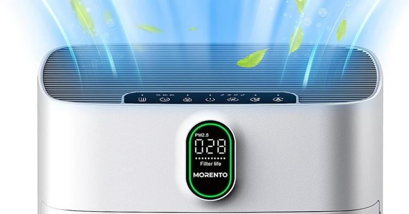 MORENTO HY4866