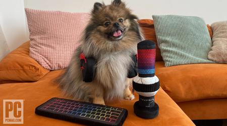 HyperX presenta accesorios de juego... para mascotas