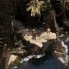 Avance de Flint: Treasure of Oblivion imagen 5