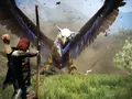 post_big/dragons-dogma-dark-arisen-griffin.jpg.webp