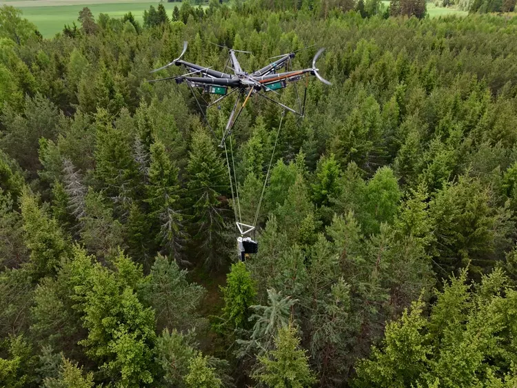 AirForestry tala árboles con drones autónomos ...