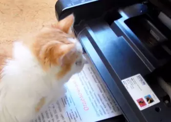 La mejor impresora para el hogar ...