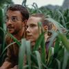 Vuelven los dinosaurios: desvelados el título, el reparto y las primeras imágenes de la nueva entrega cinematográfica de Jurassic World-5 Vuelven los dinosaurios: desvelados el título, el reparto y las primeras imágenes de la nueva entrega cinematográfica de Jurassic World-5