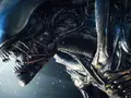 post_big/Alien-Xenomorph.jpg