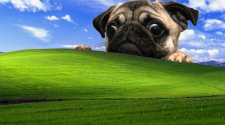 Windows XP sigue siendo el más popular en un país