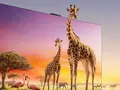 post_big2/smart-tv-s7-pro.webp