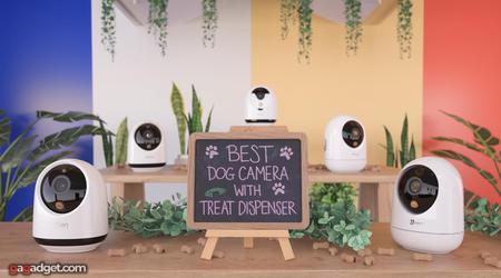 Mejor Cámara para Perros con Dispensador de Golosinas