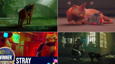 La historia de Stray: cómo un gato de una ciudad cibernética se convirtió en el descubrimiento del año e influyó en la industria del videojuego