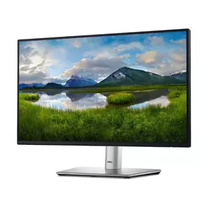 Dell P2422H