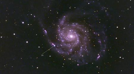 Científicos retransmiten en directo el destello de una de las supernovas más brillantes de la última década