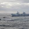 El portaaviones británico HMS Queen Elizabeth, que transporta cazas de quinta generación F-35B Lightning II, se ha transferido al mando de la OTAN por primera vez en la historia-24