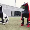Miniatura del robo-caballo en el pasto