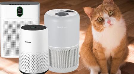 Mejores Purificadores de Aire para Gatos
