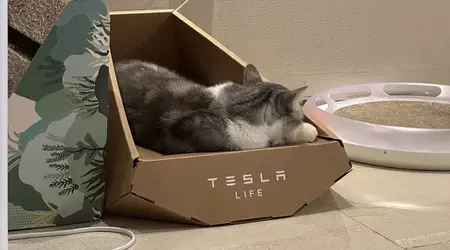 Parece que Tesla ha robado el diseño de una tumbona para gatos "estilo Cybertruck" a una empresa taiwanesa