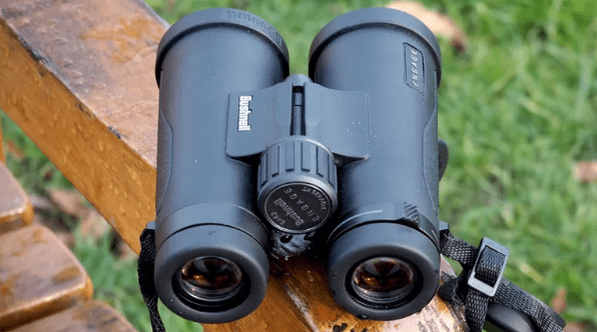 Prismáticos compactos Bushnell 8x42 Engage 8x42