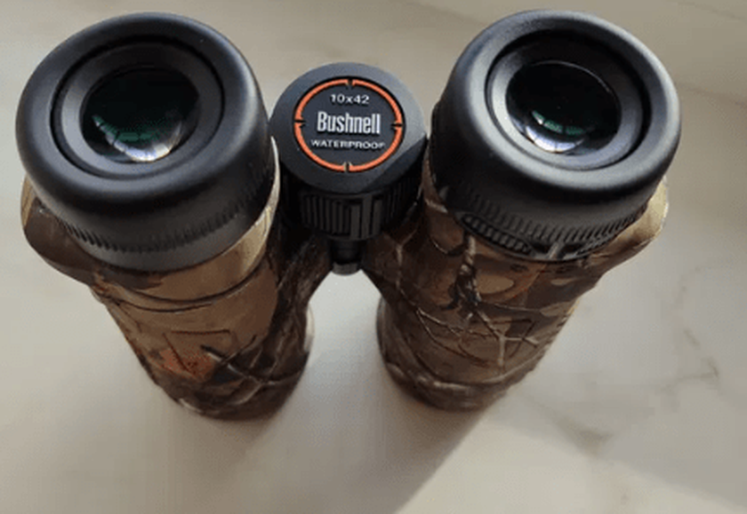 Prismáticos compactos Bushnell Trophy 10x42