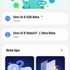 Galaxy Watch Wear OS 6 beta how to 3 preview