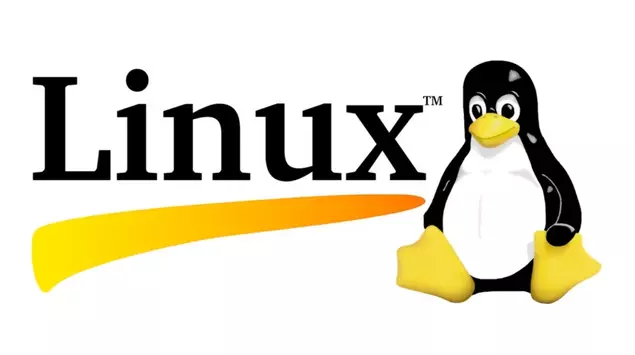 CopyFail: el fallo crítico de Linux ...