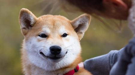 Binance está regalando 45,000 Shiba Inu a nuevos usuarios de forma gratuita