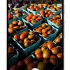 Vista previa de las características del Google Pixel