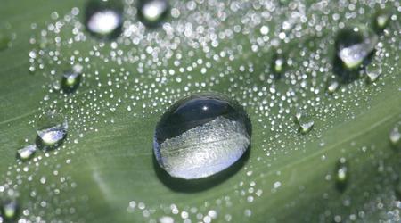 Científicos graban en vídeo el proceso de formación de agua mediante nanotecnología