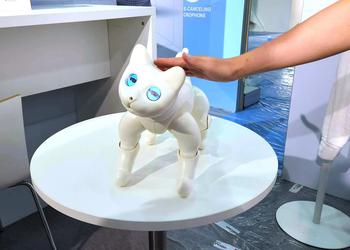 En la IFA 2022, mostraron MarsCat, ...