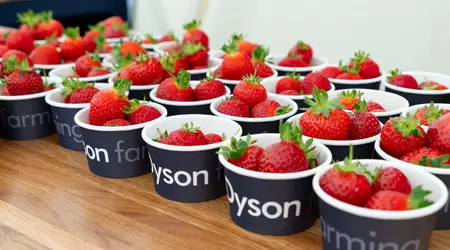 Nota del editor: fresas, aspiradoras y surf británico: cómo Dyson convirtió una granja en un laboratorio del futuro