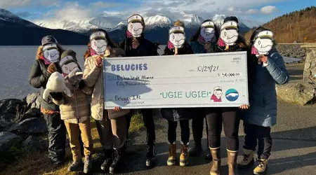 Un artista de 14 años ganó más de 1.000.000 de dólares en 10 horas con dibujos animados NFT creados con el iPhone 8