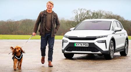 Los perros eligen el coche eléctrico: un estudio demuestra que los viajes son menos estresantes