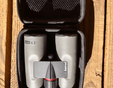 Prismáticos Bushnell Nitro 10x42 para observación de aves