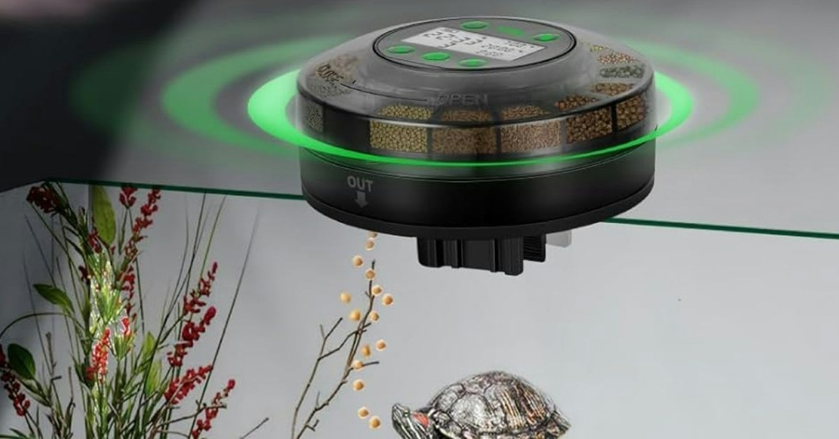 alimentador automático vacaciones Papettly