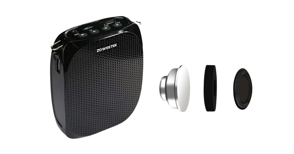 Micrófonos inalámbricos ZOWEETEK ZW-Z258 para presentaciones