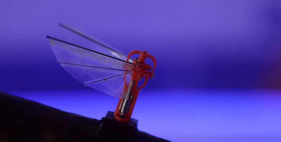 ASELSAN presenta un microdrón de reconocimiento que se asemeja a una libélula ASELSAN presenta un microdrón de reconocimiento que se asemeja a una libélula