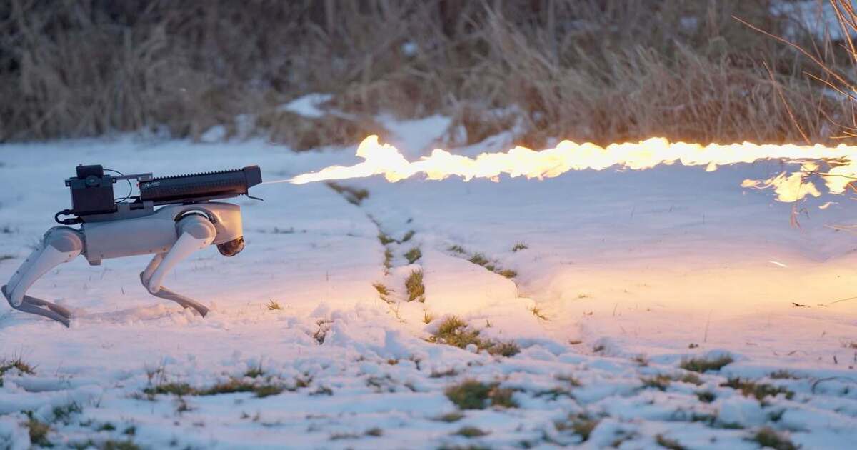 Un perro robot con lanzallamas que derrite la nieve y prende fuego: Una empresa estadounidense presenta una nueva tecnología Un perro robot con lanzallamas que derrite la nieve y prende fuego: Una empresa estadounidense presenta una nueva tecnología