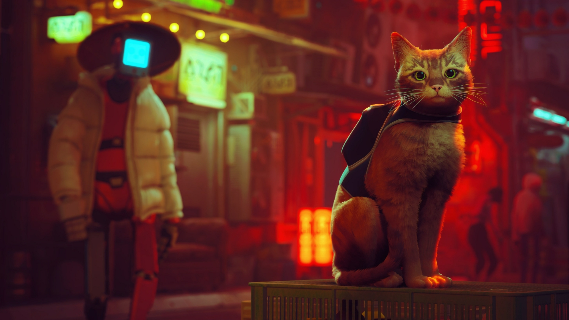 Stray ha superado a God of War para convertirse en el juego mejor valorado de 2022 en Steam