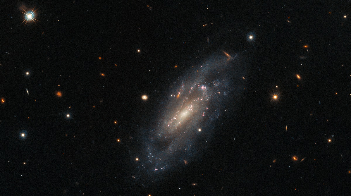 El Hubble ha captado una fotografía de una galaxia lejana en la constelación de Pegaso que logró sobrevivir a una explosión estelar inimaginablemente poderosa El Hubble ha captado una fotografía de una galaxia lejana en la constelación de Pegaso que logró sobrevivir a una explosión estelar inimaginablemente poderosa