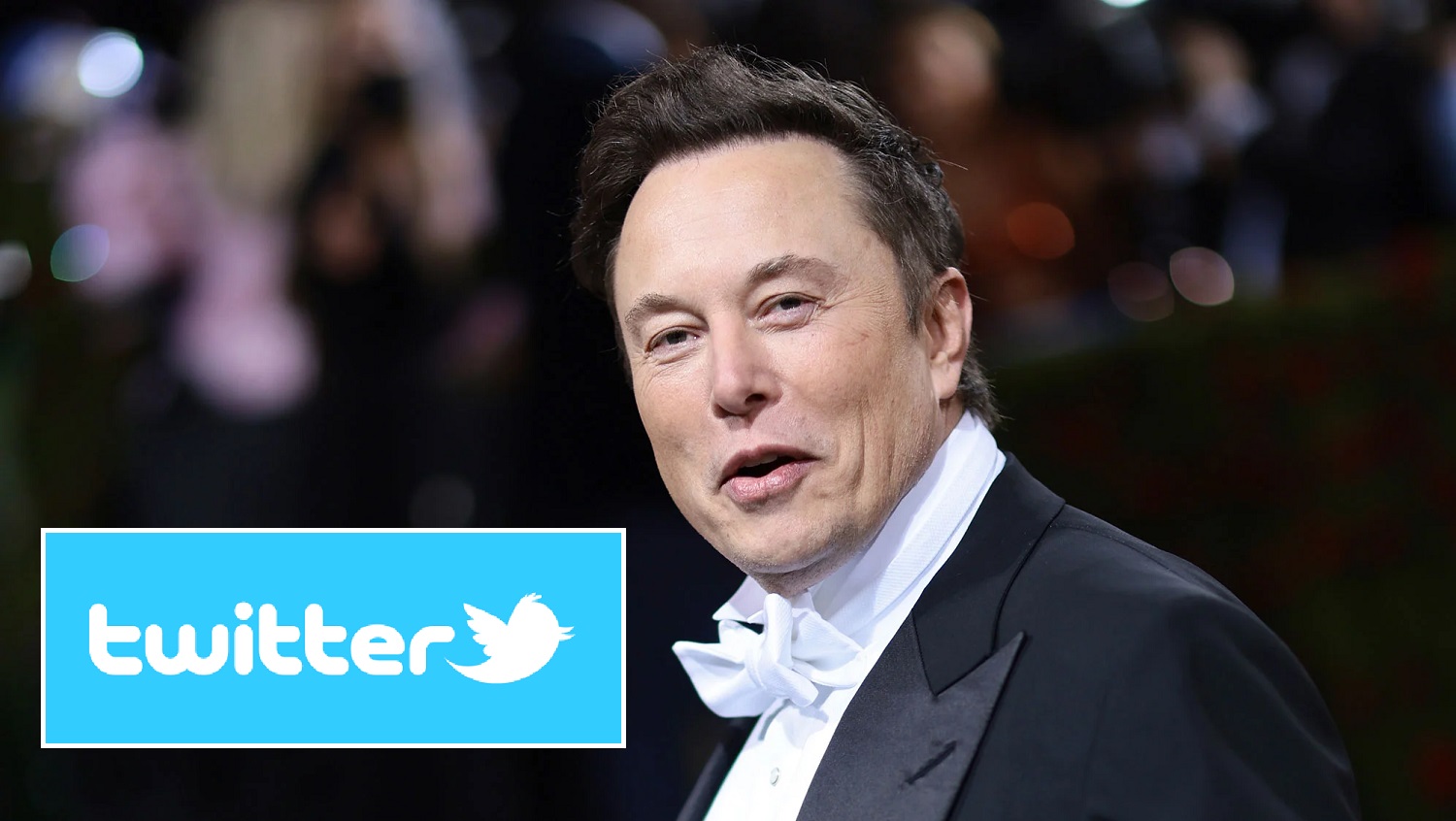 Elon Musk vuelve a querer comprar Twitter por 44.000 millones de dólares: las acciones de la compañía se disparan más de un 20% Elon Musk vuelve a querer comprar Twitter por 44.000 millones de dólares: las acciones de la compañía se disparan más de un 20%
