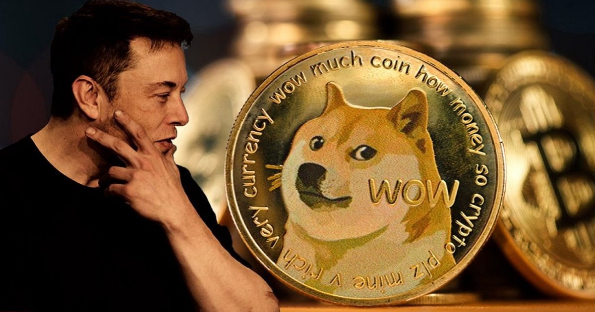 Dogecoin subió un 26% tras publicarse en Twitter una foto del perro de Elon Musk Dogecoin subió un 26% tras publicarse en Twitter una foto del perro de Elon Musk
