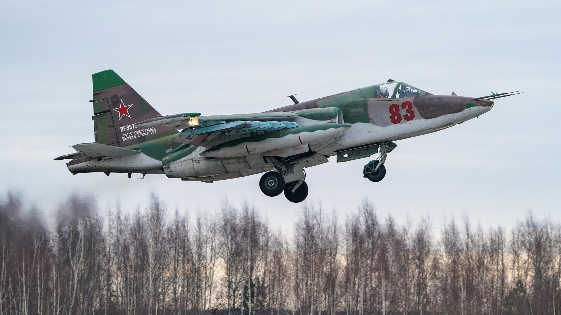 Un soldado de la Guardia Nacional ucraniana derriba un avión de ataque Su-25 ruso por valor de 11.000.000 de dólares Un soldado de la Guardia Nacional ucraniana derriba un avión de ataque Su-25 ruso por valor de 11.000.000 de dólares