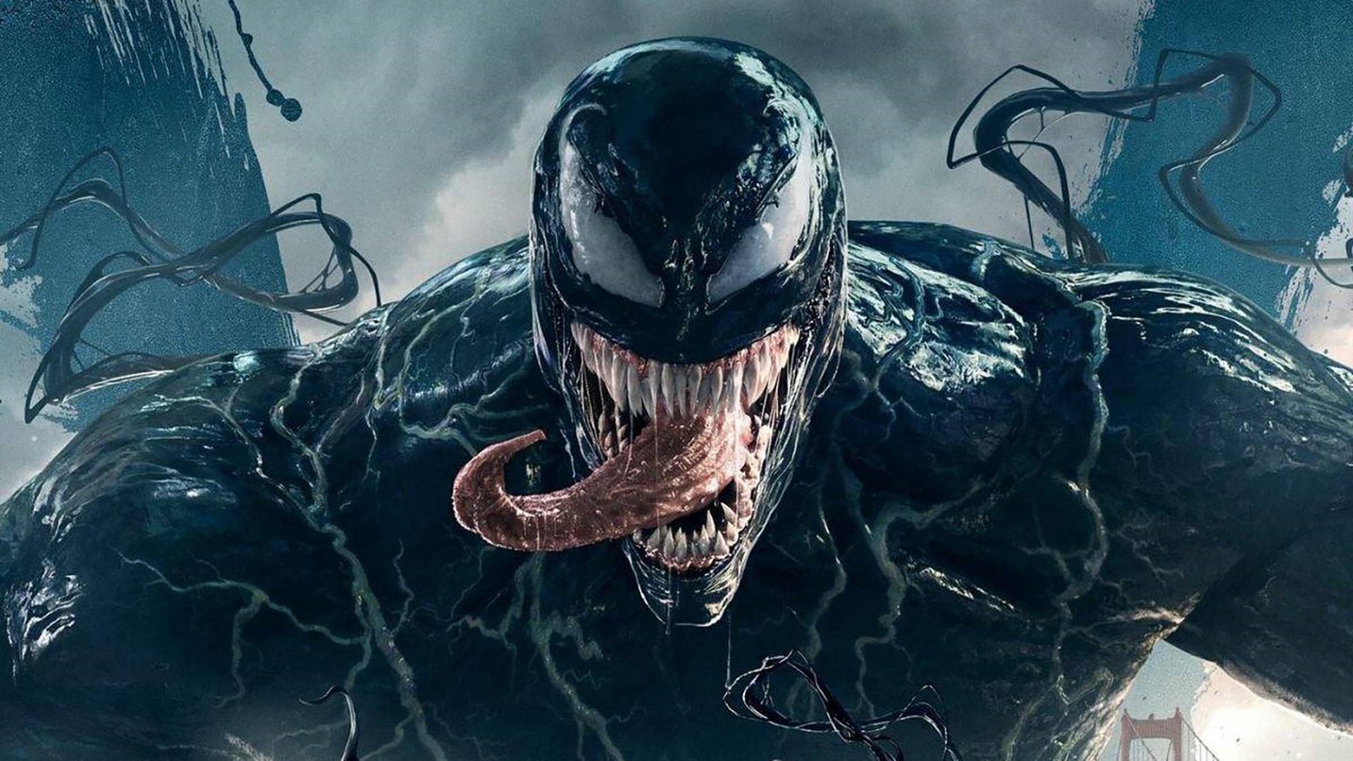 Una simbiosis de cine y ciencia: una nueva especie de araña venenosa ha sido descubierta en Australia y bautizada con el nombre del antihéroe de Marvel Tom Hardy. Una simbiosis de cine y ciencia: una nueva especie de araña venenosa ha sido descubierta en Australia y bautizada con el nombre del antihéroe de Marvel Tom Hardy.
