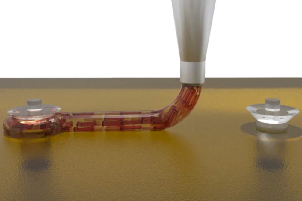 Científicos del Instituto Wyss de Harvard imprimieron en 3D una pieza funcional de un corazón Científicos del Instituto Wyss de Harvard imprimieron en 3D una pieza funcional de un corazón