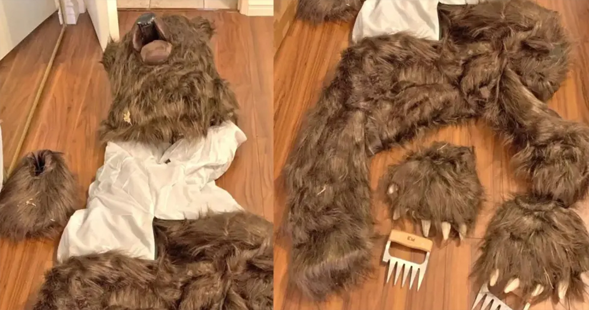 En California, unos estafadores grabaron a un hombre vestido de oso atacando un Rolls-Royce para cobrar el seguro En California, unos estafadores grabaron a un hombre vestido de oso atacando un Rolls-Royce para cobrar el seguro