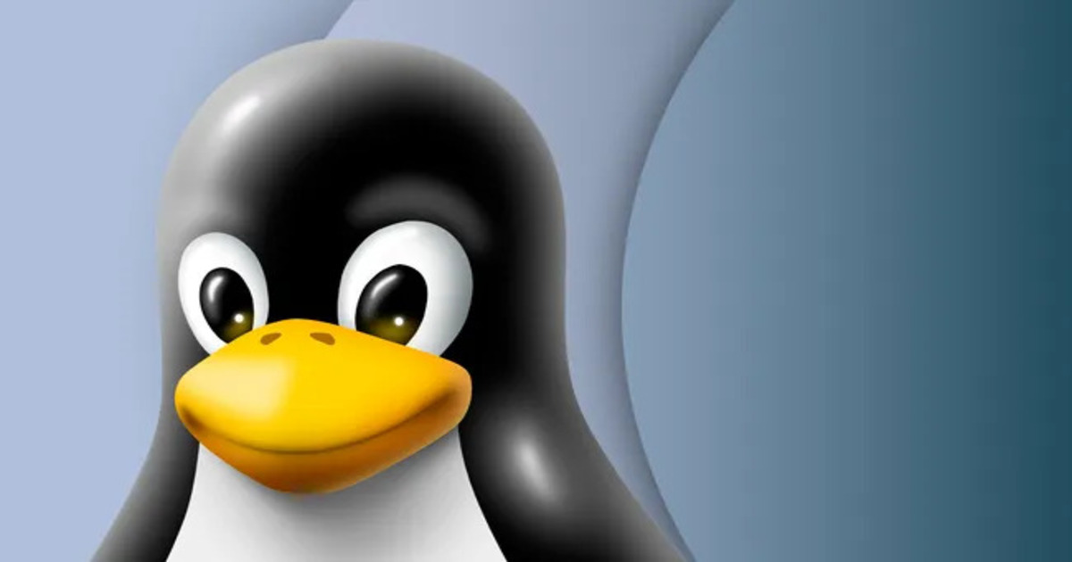 Nuevo fallo en Linux: la vulnerabilidad "Wall" supone un riesgo para la seguridad Nuevo fallo en Linux: la vulnerabilidad "Wall" supone un riesgo para la seguridad