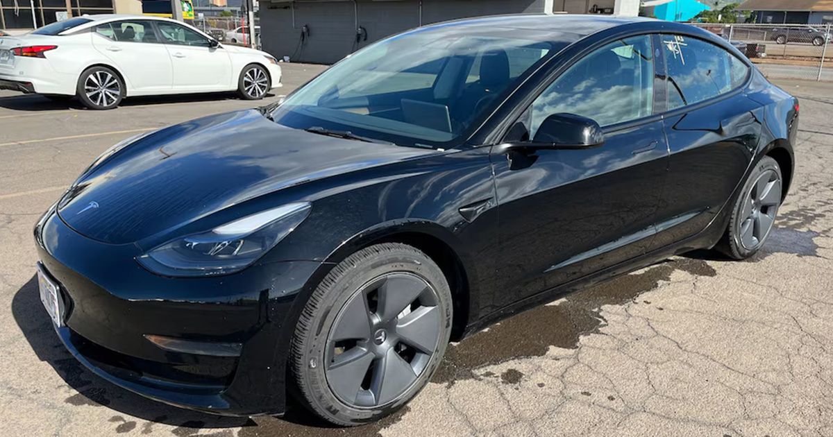 Más Tesla Model 3 de Hertz en la carretera: ¿Qué significa esto para los consumidores? Tesla Model 3 en la flota de Hertz: Nuevos horizontes para el carsharing