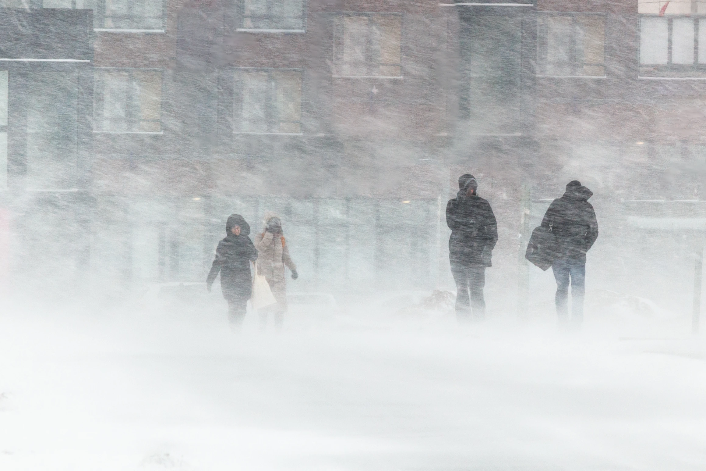 Texas cierra las mineras para liberar 1.500 mw de energía para calentar hogares y hospitales durante la tormenta de nieve Texas cierra las mineras para liberar 1.500 mw de energía para calentar hogares y hospitales durante la tormenta de nieve